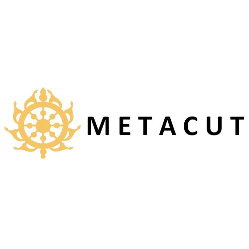 The Metacut Inc