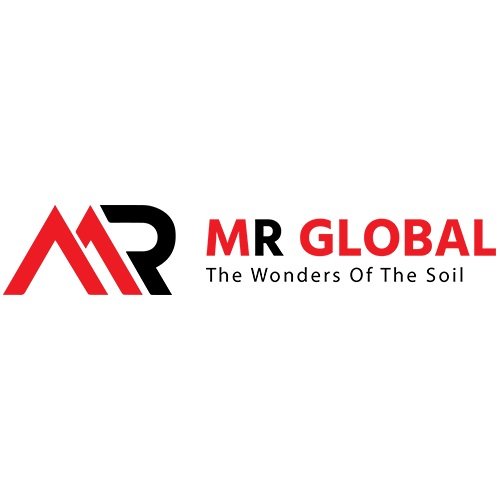 MR Global 