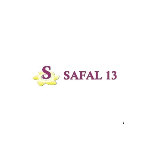 Safal EOT Crane